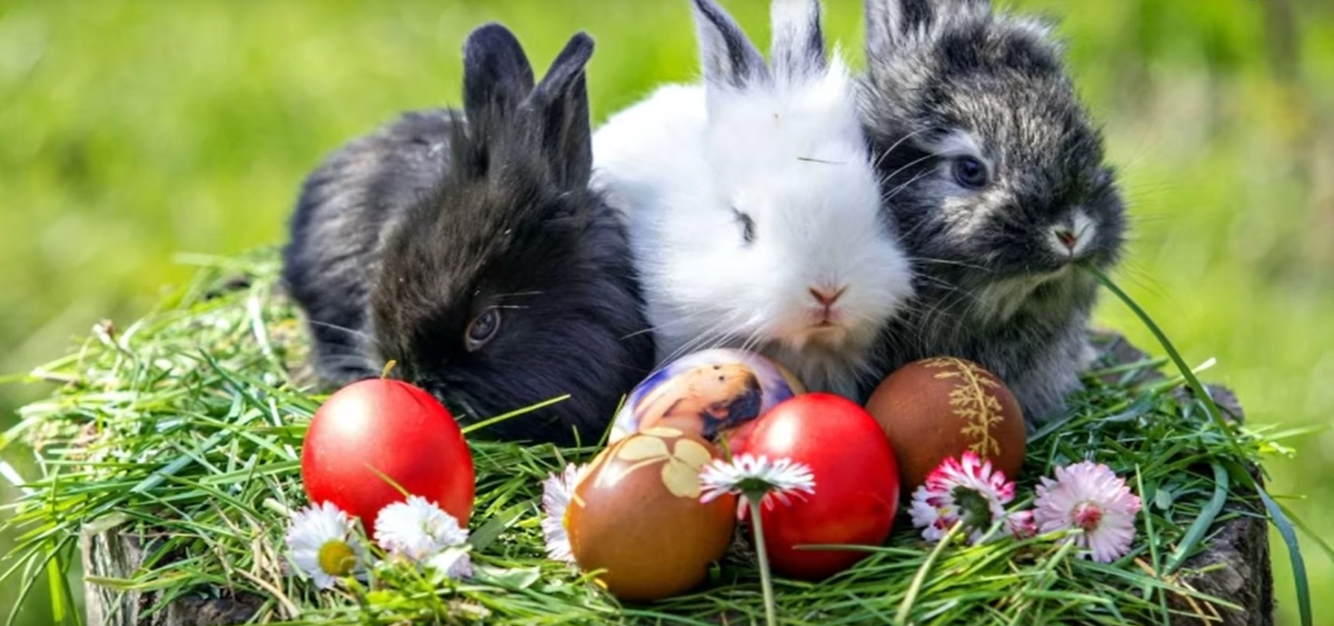 Húsvéti üdvözlet 2022