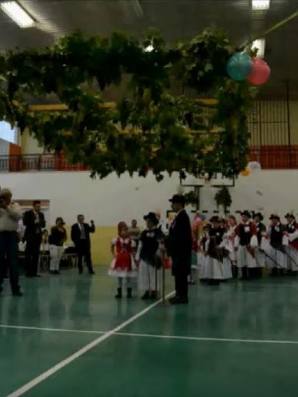 Sóskút Hóstáti Szüreti Bál képekben - 2015