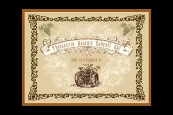 Tápiószele Hóstáti Szüreti Bál 2013