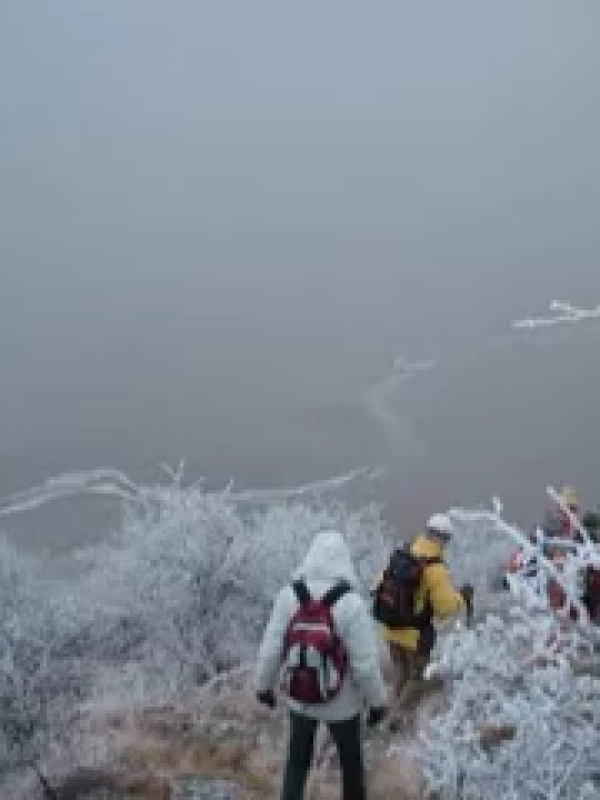 Újévi üzenet - 2009