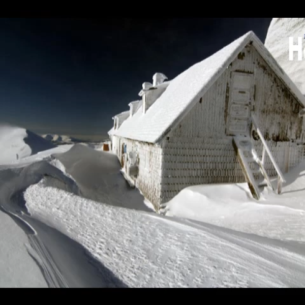 Újévi üzenet 2011