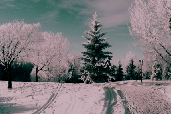 Újévi üzenet 2016